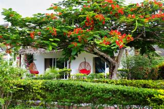 Tanzanite Beach Resort - Nungwi - 3