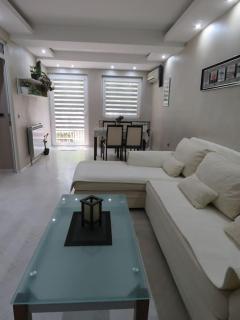 Aneta's Groundfloor apartment near park - Skopje - 8
