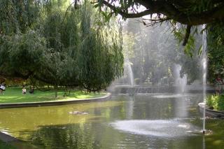 Appartement rénové une chambre avec espace de travail - 3