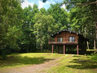 『一軒丸々貸切』徒歩5分圏内カフェ 自然を満喫 Modern Ski Chalet +WiFi & 5min walk to cafes. - 9