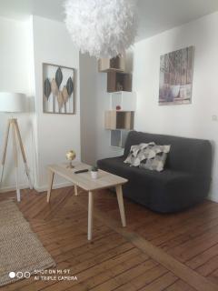 Chaleureux T2 au style VINTAGE - rue gratuite - Amiens - 3