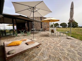 Podere l'Alfina Bio Agriturismo - Castel Giorgio - 4