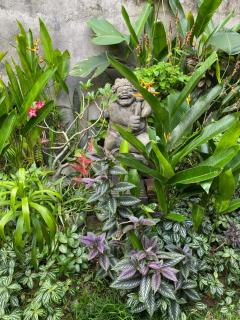 Kope House Ubud - Ubud - 9