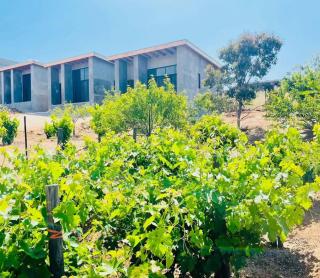 Finca 3-18 Valle de Guadalupe - San Marcos - 0