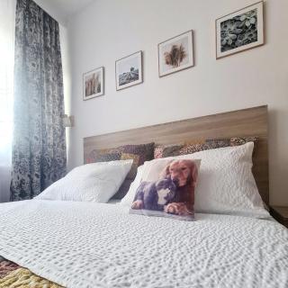 Apartament Eminescu 2 - Zărneşti - 3