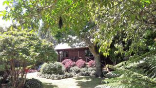 The Lancewoods - Te Anau - 9