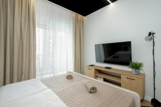 Apartament Palm - Centrum Plac Wolności 6 - Kramm Apartments - Poznań - 1