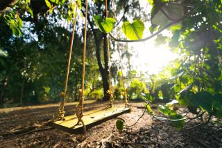 SaffronStays Biccode Woodside Heritage - Belūr - 6