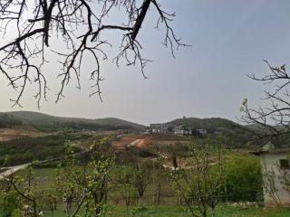 Nova Panorama - Vrdnik - 1