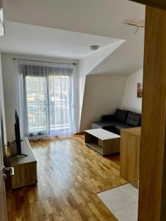 Podgorica apartment with garage - 9