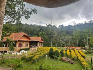 MJ Gargen View เรือนหลวงรีสอร์ท - 4