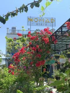 Nomad Stay - Phan Rang-Tháp Chàm - 9
