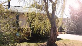 Klondyke Cherry Farm - Matjiesrivier - 2