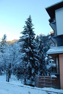 Apartment Courmayeur - 9