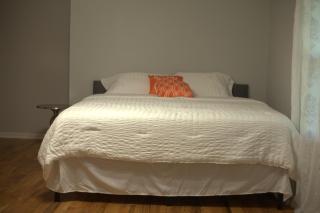 2821 Home - Browns Mill Lake - 4