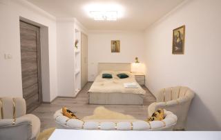 Golden Mountain Flat- ADULTS ONLY - Petroşani - 9