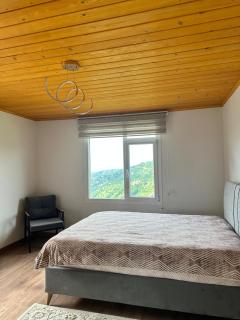 Çilek Apart - Akkaya - 2