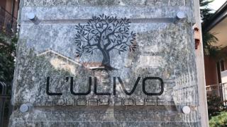 L’ulivo - Ciriè - 7