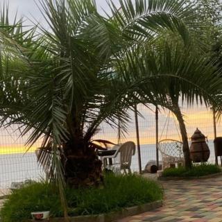 Our home - Chakvi - 8