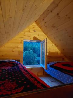 Somina - Šavnik - 9