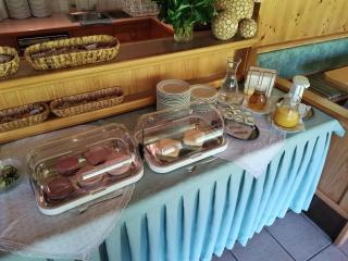 Pension Schneerose - Wildschönau - 4