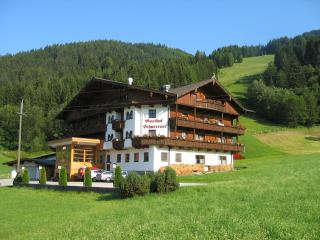 Pension Schneerose - Wildschönau - 1