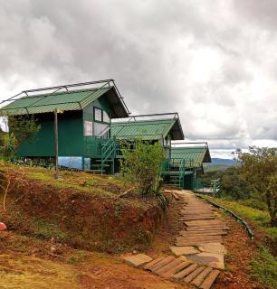 Coorg Tree House - Madikeri - 6
