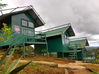Coorg Tree House - Madikeri - 7