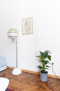 85m large, bright and cozy Bona Apartment - Belgrado - 3