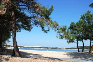 Seignosse Appart T2 - 500m Océan - Hossegor - 7