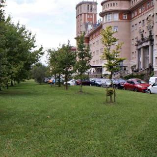 Hotel Seminario Aeropuerto Bilbao - Derio - 9