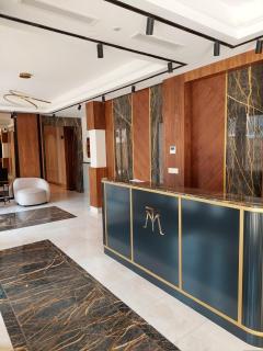 Unique Premium Penthouse with Spa and Gym in Dedinje - 4