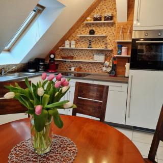 Urlaubsdomizil Am Töpfer - Ferienwohnungen in Olbersdorf - Olbersdorf - 1