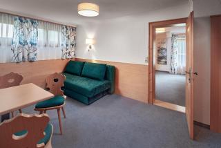 Hotel Gasthof Siggen - Neukirchen am Großvenediger - 8