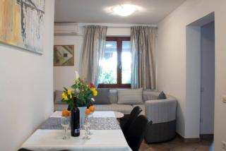Comfort and affordable apartments Slavica - 8