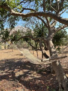 VILLA MÀRCATO tra Monti & Mare - 1