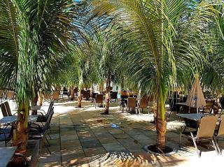 Lacqua Di Roma - Apartamento confortavel e completo com varanda - 5