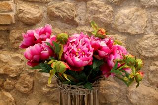 Residenza Cà BIANCA - Appartamento REFOSCO - 2