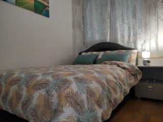 Orchis - Kragujevac - 5