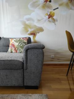 Orchis - Kragujevac - 9
