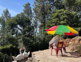 Nature's cradle resort - Yercaud - 3