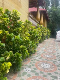 Nature's cradle resort - Yercaud - 7