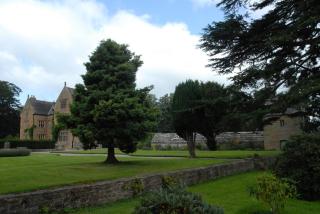 Cosy Cottage Wrexham sleeps 4 - Mold - 4