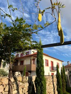 Casa Dr. Ramiro Salgado - Torre de Moncorvo - 4