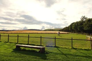 Dreish - Glamping Pod - Forfar - 4