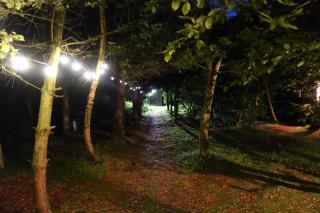 Dreish - Glamping Pod - 3