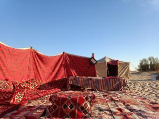 Campement Privé Caravane 75km-Douz - Ksar Ghilane - 8