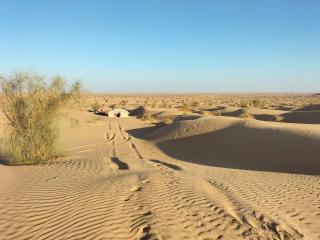 Campement Privé Caravane 75km-Douz - Ksar Ghilane - 6