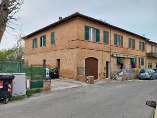 Ciclamino fori Porta Pispini 2 - Siena - 9