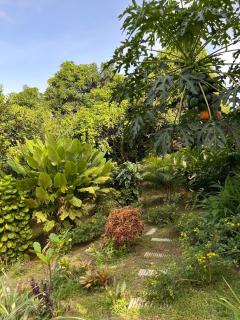 Villa Selma Martinique - Maximin - 8
